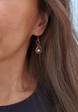 Load image into Gallery viewer, Light Honey Brown Swarovski Crystal Dangle Earrings
