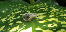 Load image into Gallery viewer, Amazing Blue Flash Labradorite Ring
